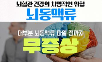 뇌혈관 건강의 치명적인 위협! ‘뇌동맥류’ - [인천 뇌혈관질환·뇌졸중 명의] 가톨릭관동대학교 국제성모병원 신경외과 허원 교수